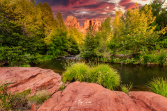 TEL4645-copy-2-Edit