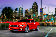 MTL-Mustang