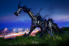 MTL-Horse-1