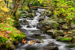 TZ7_5402-Edit-Edit