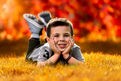 TEL2540-Edit